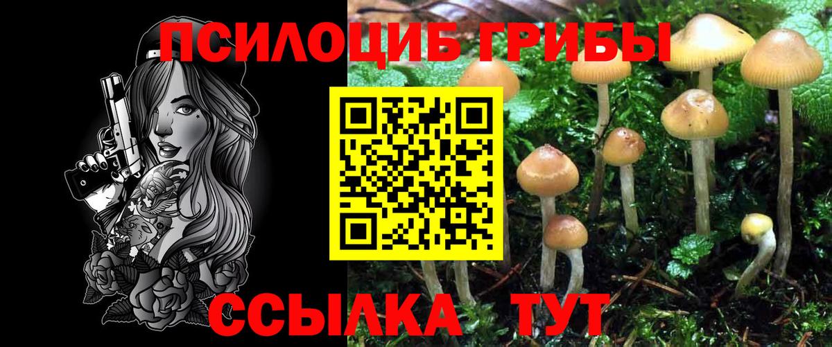 Галлюциногенные грибы Cubensis  Галлюциногенные грибы Cubensis  Урай  Вход с VPN 